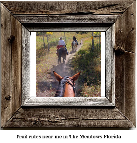 trail rides near me in The Meadows, Florida